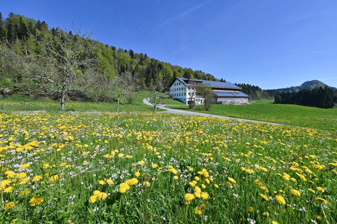Apartamento Auszeithof Voegel Sulzberg  Exterior foto